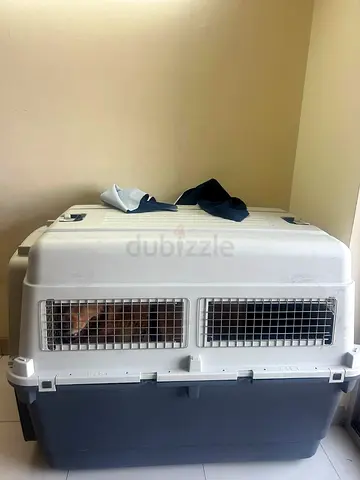 42 inch crate only