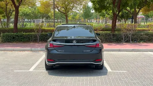 Lexus ES 300h Premier, миниатюра 8