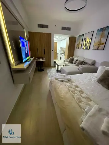 Elite furnished studio pantheon elysee III JVC