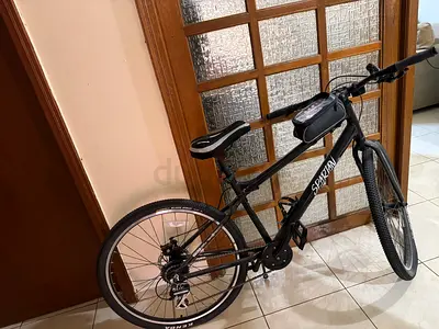 Spartan 26" Mountain Bike - Good Condition, Ready to Ride