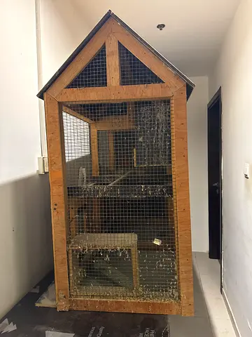Large Outdoor Wooden Bird Aviary