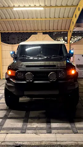 2010 Toyota FJ CRUISER photo 2