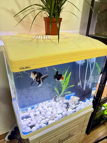 Aquarium