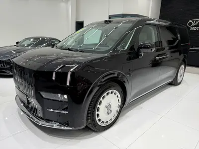 2025 Zeekr 009 照片 3