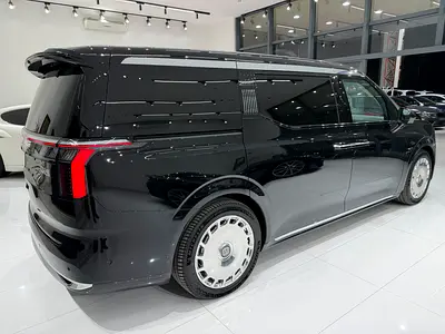 2025 Zeekr 009 照片 5