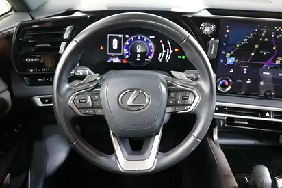 2023 Lexus RX-SERIES photo 12