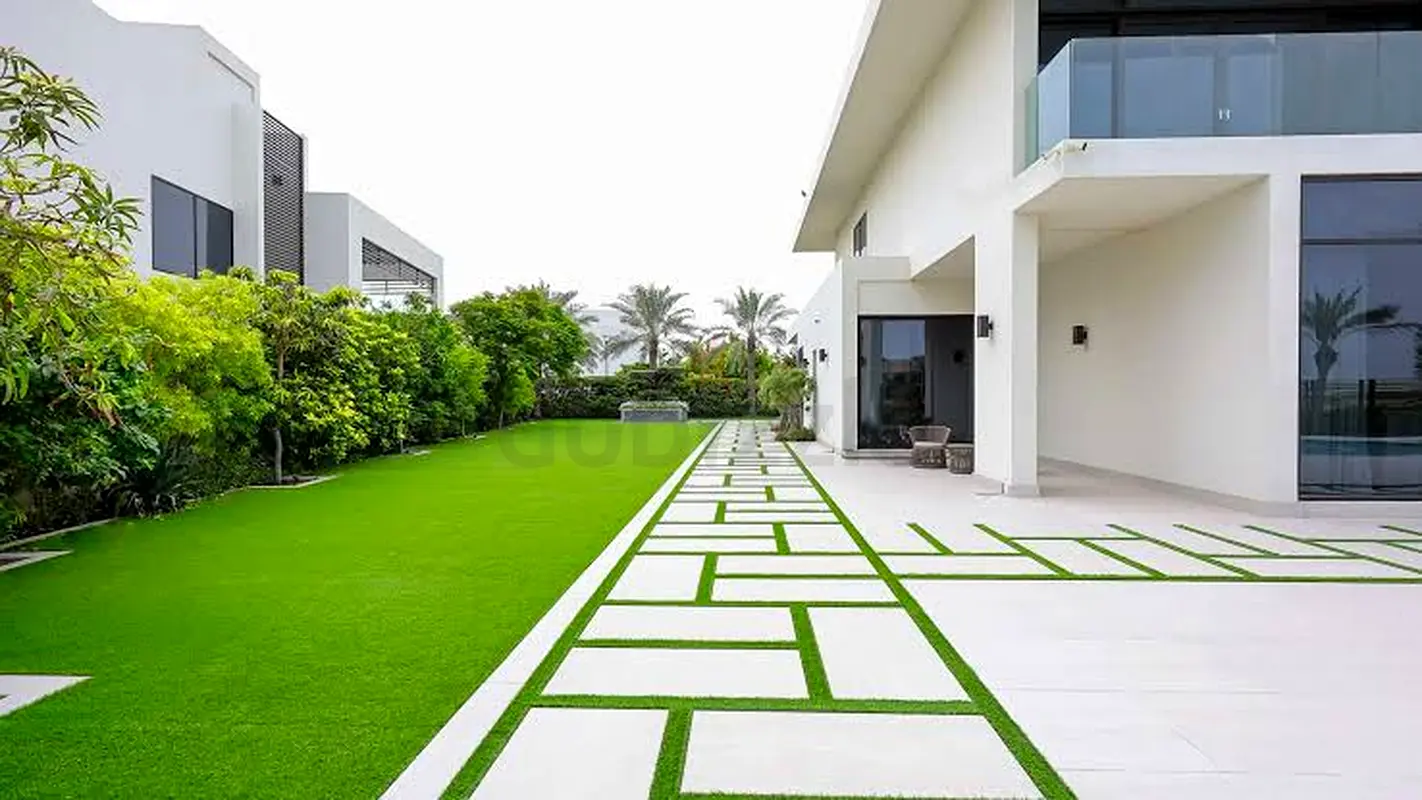 DPV_View_Image_2