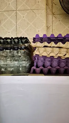 Free egg trays
