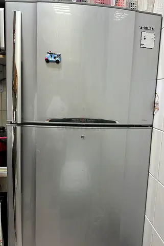 Toshiba Double Door Refrigerator Silver Finish 650L