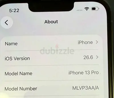 iPhone 13 pro