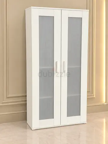 Modern White Two Door Storage Cabinet with Glass Panels