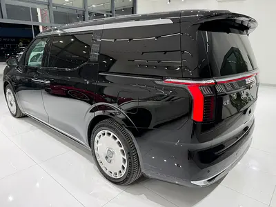 2025 Zeekr 009 照片 6