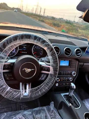 2020 FORD MUSTANG 照片 8