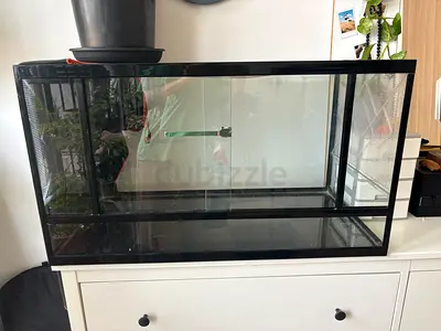 Glass Terrarium