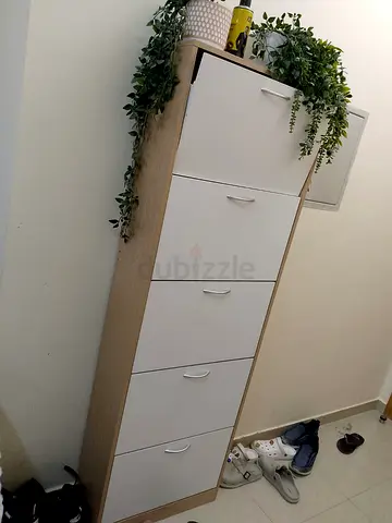 Shoe Cabinet - Urgent Sale