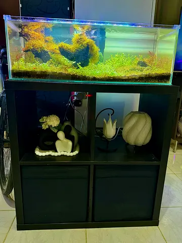 Aquarium for sale