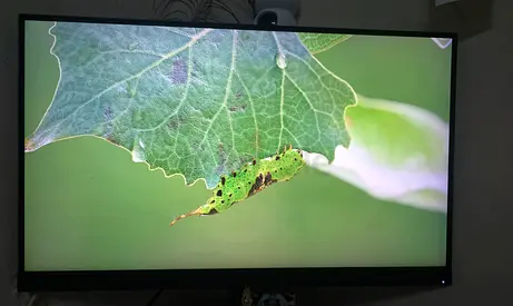 Lenovo Desktop PC Monitor