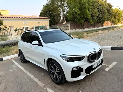 2020 BMW X5 缩略图 2