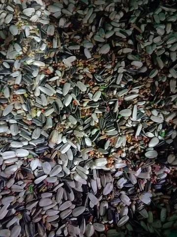Mixed bird seed blend (sunflower mix) - good for wild/pet birds