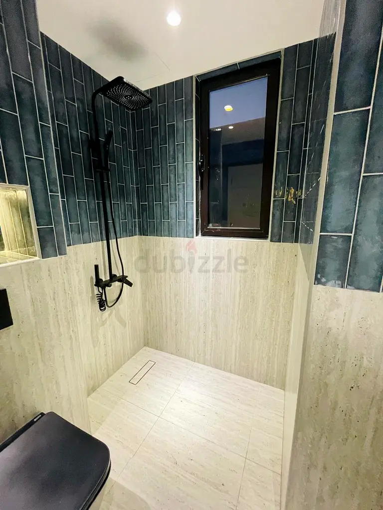 DPV_View_Image_9