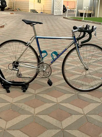 Panasonic Road Bike
