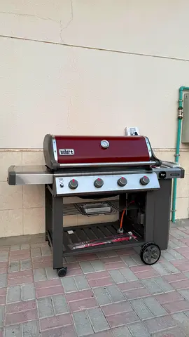 Weber genesis with delivery