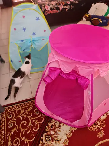 Set of 2 Kids Pop-up Play Tents — Pink Princess & Blue Star Playhouses