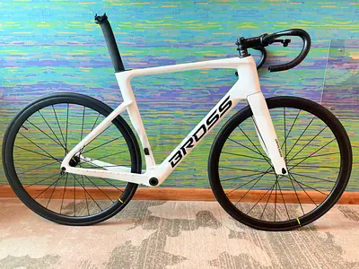 Size 56 Frameset BROSS (Carbon) Vagabond Aero + MAVIC Wheels