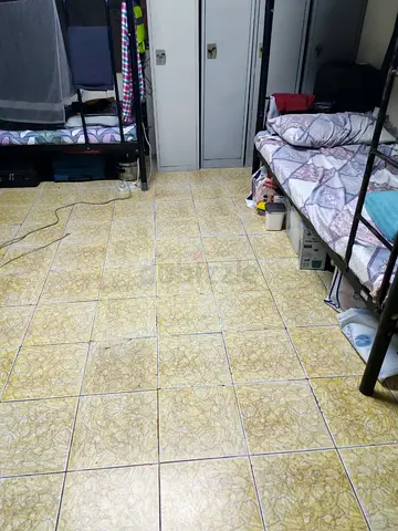 Bachelor bed space in rashidiya