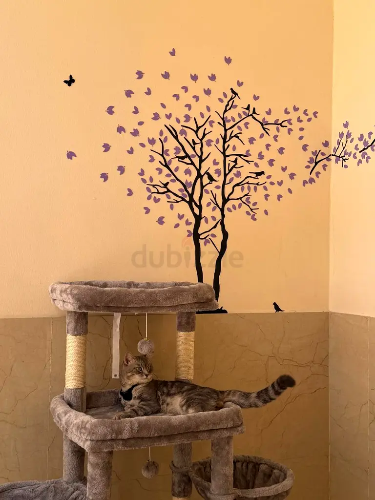 DPV_View_Image_3