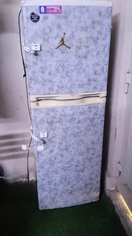 Double Door Refrigerator with Custom Wrap