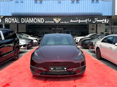 2024 Tesla MODEL Y 照片 2