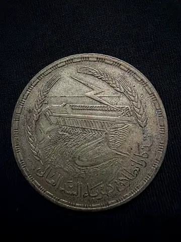 Vintage Arabic Coin with Eagle and Wheat Design — One Large Coin