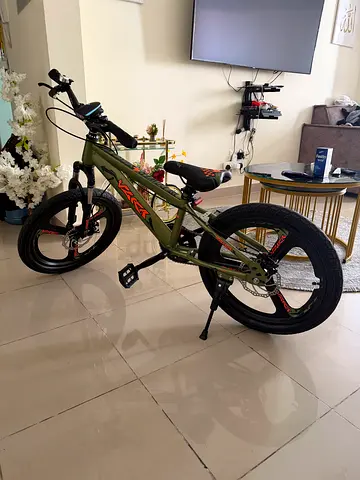 Stylish Green VAKA Mountain Bike / BMX Style