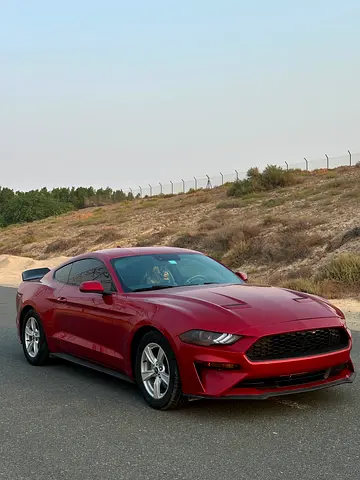 2020 FORD MUSTANG 照片 2