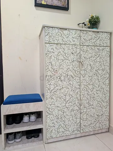 SHOE Cabinet