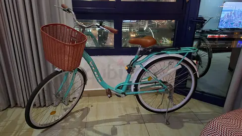 Light green city cruiser bike with front basket and back Child carriage — Excellent condition