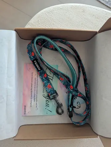 Pupstra dog lead