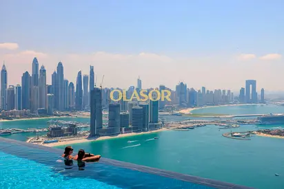 OLASOR Private Chauffeur Package | VIP Service For You | On the Beach | Nice Views | All Bills Included