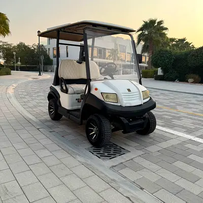 Eagle Suzhou golf buggy 2 seater