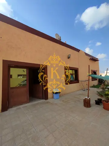 SPACIOUS! 1 BEDROOM HALL WITH TERRACE AVAILABLE IN MBZ CITY