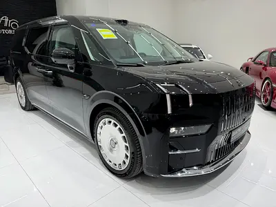 2025 Zeekr 009 照片 2