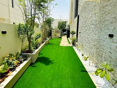 Backyard renovation work