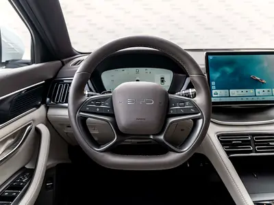 BYD Song Plus Premium, миниатюра 13