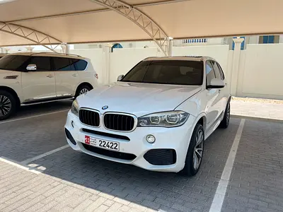 2017 BMW X5 缩略图 13