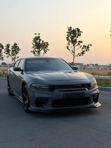 2019 Dodge CHARGER — миниатюра 19