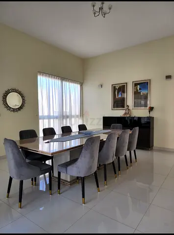 Beautiful 10 Seater Italian dining table with Velvet Chairs - Excellent Condition