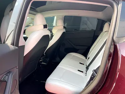 2024 Tesla MODEL Y 照片 9