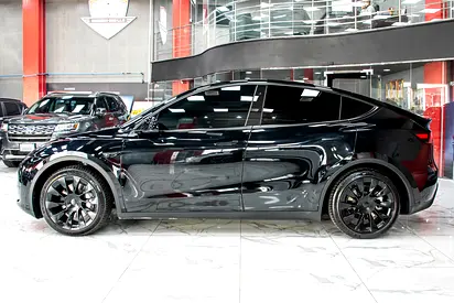 2024 Tesla MODEL Y 照片 7
