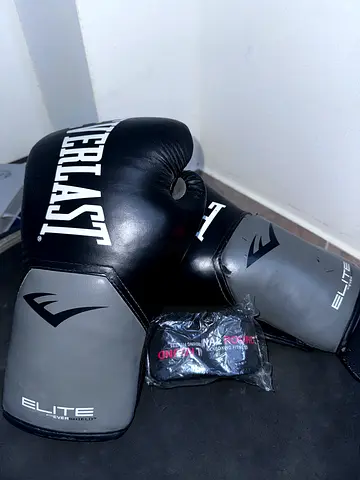 Everlast boxing gloves
